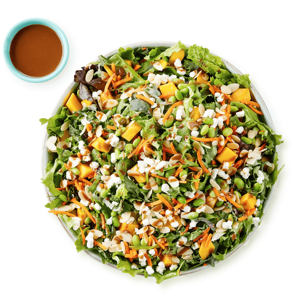 Healthy fresh and full of veggies salad with dressing